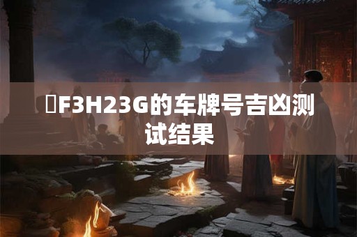 粵F3H23G的车牌号吉凶测试结果