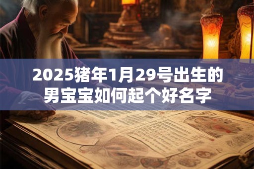 2025猪年1月29号出生的男宝宝如何起个好名字