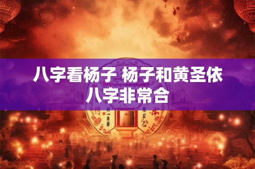 八字看杨子 杨子和黄圣依八字非常合