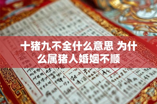 十猪九不全什么意思 为什么属猪人婚姻不顺