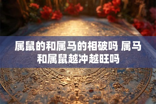 属鼠的和属马的相破吗 属马和属鼠越冲越旺吗