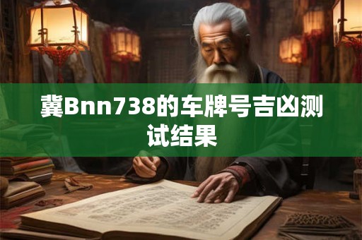冀Bnn738的车牌号吉凶测试结果