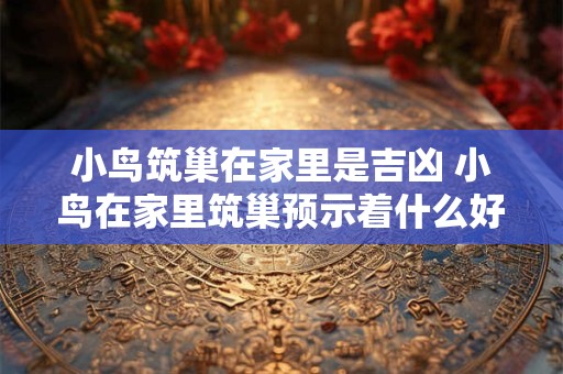 小鸟筑巢在家里是吉凶 小鸟在家里筑巢预示着什么好运