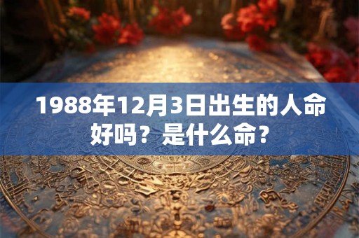 1988年12月3日出生的人命好吗？是什么命？