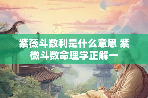 紫薇斗数利是什么意思 紫微斗数命理学正解一