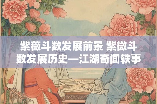 紫薇斗数发展前景 紫微斗数发展历史—江湖奇闻轶事遗珍录