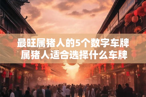 最旺属猪人的5个数字车牌 属猪人适合选择什么车牌