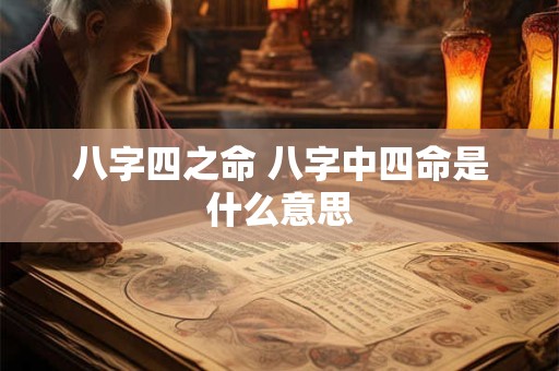 八字四之命 八字中四命是什么意思