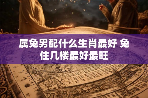 属兔男配什么生肖最好 兔住几楼最好最旺