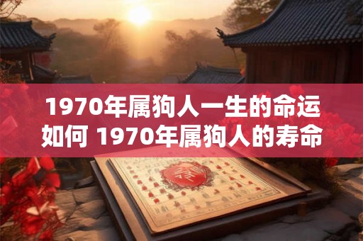 1970年属狗人一生的命运如何 1970年属狗人的寿命是多大