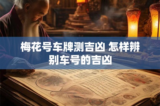 梅花号车牌测吉凶 怎样辨别车号的吉凶