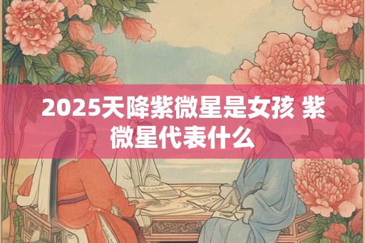 2025天降紫微星是女孩 紫微星代表什么