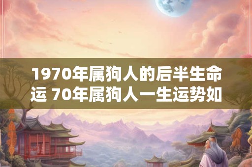 1970年属狗人的后半生命运 70年属狗人一生运势如何