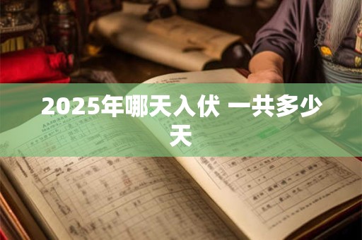 2025年哪天入伏 一共多少天