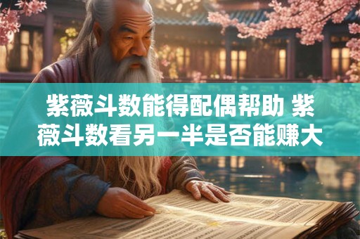 紫薇斗数能得配偶帮助 紫薇斗数看另一半是否能赚大钱