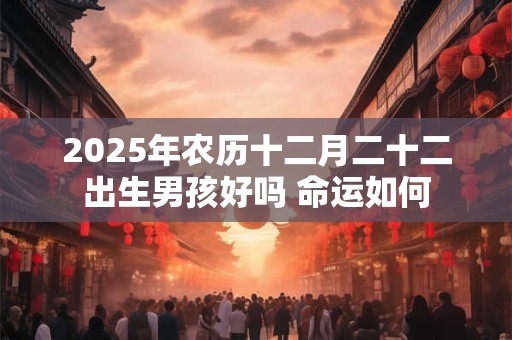2026年农历十二月二十二出生男孩好吗 命运如何 2026年农历十二月二十二出生男孩好吗 命运如何