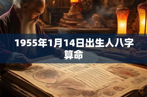 1955年1月14日出生人八字算命