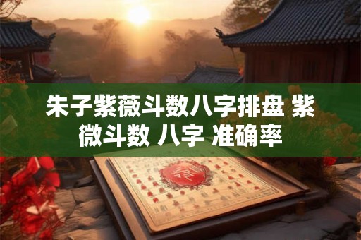 朱子紫薇斗数八字排盘 紫微斗数 八字 准确率