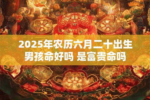 2025年农历六月二十出生男孩命好吗 是富贵命吗