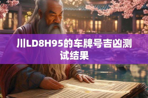 川LD8H95的车牌号吉凶测试结果