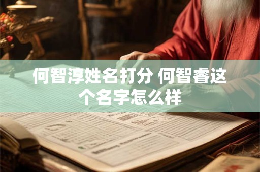 何智淳姓名打分 何智睿这个名字怎么样