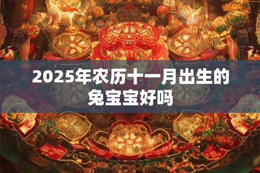 2025年农历十一月出生的兔宝宝好吗