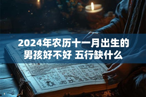 2024年农历十一月出生的男孩好不好 五行缺什么