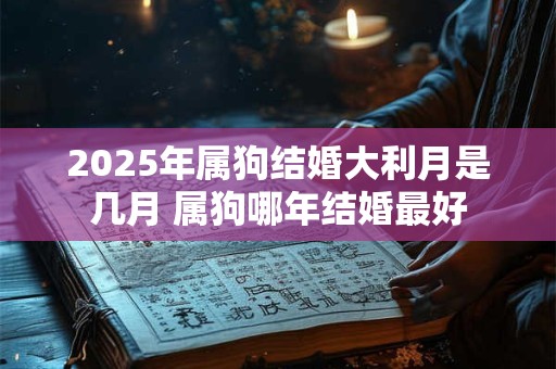 2025年属狗结婚大利月是几月 属狗哪年结婚最好 2025年属狗结婚大利月是几月 属狗哪年结婚最好