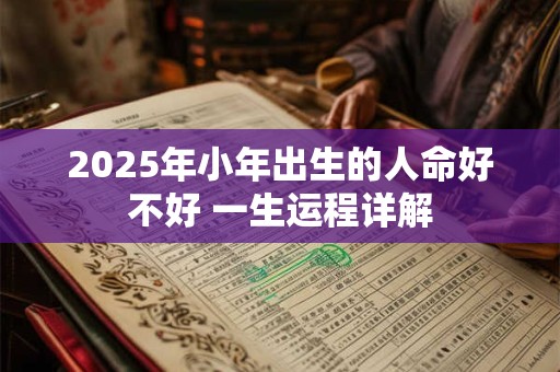 2025年小年出生的人命好不好 一生运程详解