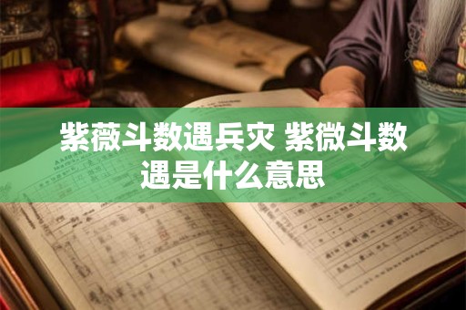 紫薇斗数遇兵灾 紫微斗数遇是什么意思