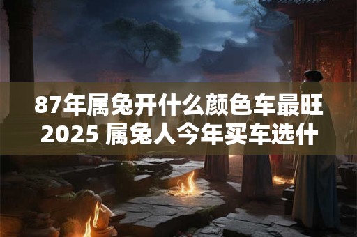 87年属兔开什么颜色车最旺2025 属兔人今年买车选什么颜色好