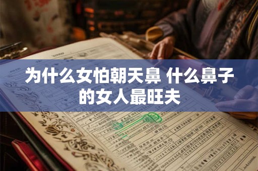 为什么女怕朝天鼻 什么鼻子的女人最旺夫