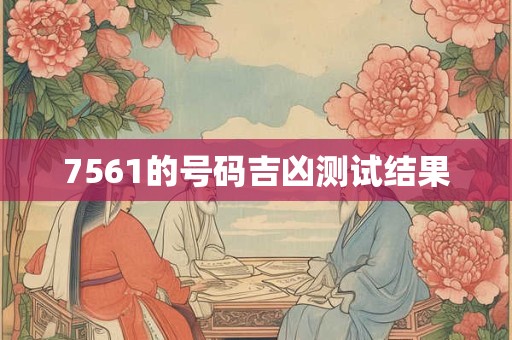7561的号码吉凶测试结果
