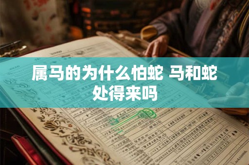 属马的为什么怕蛇 马和蛇处得来吗