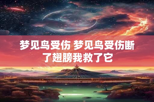 梦见鸟受伤 梦见鸟受伤断了翅膀我救了它