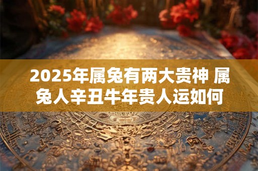 2025年属兔有两大贵神 属兔人辛丑牛年贵人运如何