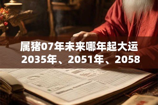 属猪07年未来哪年起大运 2035年、2051年、2058年