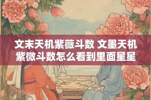 文末天机紫薇斗数 文墨天机紫微斗数怎么看到里面星星