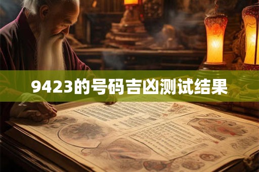 9423的号码吉凶测试结果