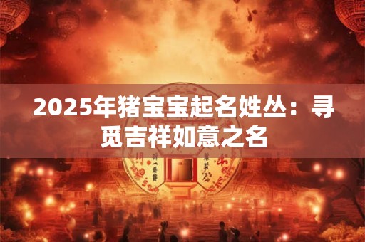 2025年猪宝宝起名姓丛：寻觅吉祥如意之名