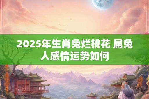 2025年生肖兔烂桃花 属兔人感情运势如何 2025年生肖兔烂桃花 属兔人感情运势如何