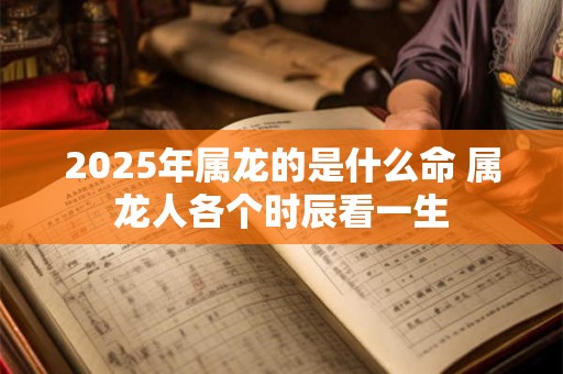 2026年属龙的是什么命 属龙人各个时辰看一生