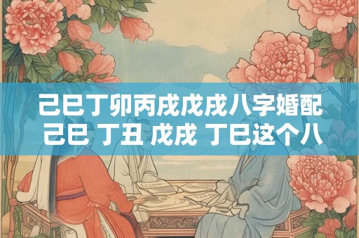 己巳丁卯丙戌戊戌八字婚配 己巳 丁丑 戊戌 丁巳这个八字怎么理解