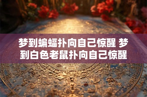 梦到蝙蝠扑向自己惊醒 梦到白色老鼠扑向自己惊醒