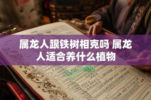 属龙人跟铁树相克吗 属龙人适合养什么植物