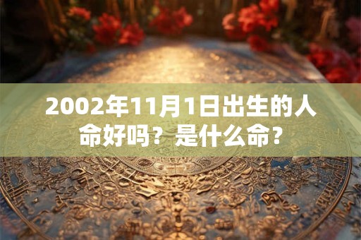 2002年11月1日出生的人命好吗？是什么命？