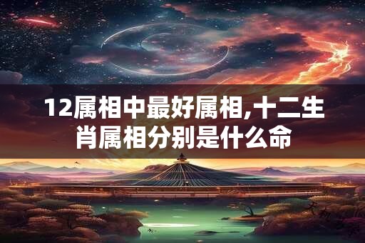 12属相中最好属相,十二生肖属相分别是什么命