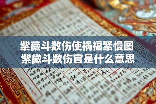紫薇斗数伤使祸福紧慢图 紫微斗数伤官是什么意思