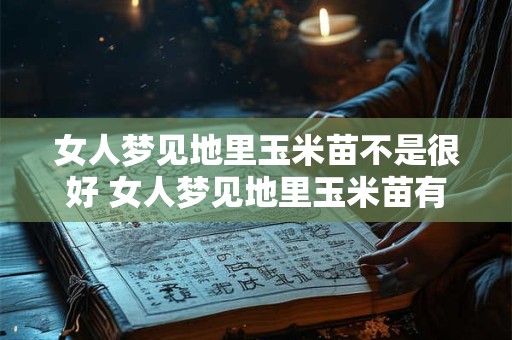 女人梦见地里玉米苗不是很好 女人梦见地里玉米苗有什么寓意