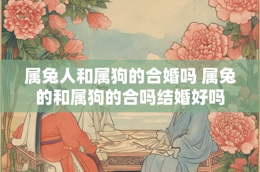 属兔人和属狗的合婚吗 属兔的和属狗的合吗结婚好吗